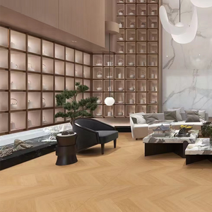Luxury Villa Background Wall1