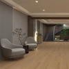Luxury Villa Background Wall
